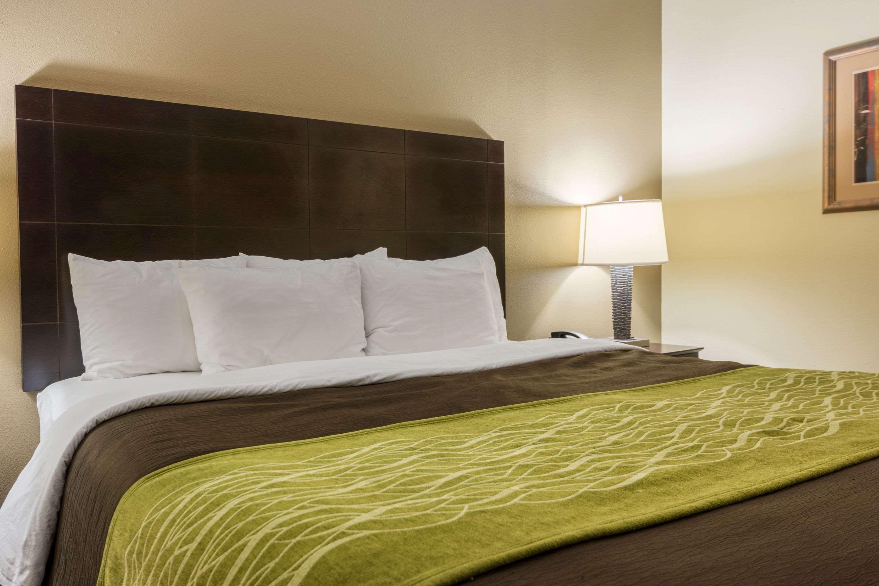 Comfort Inn & Suites Scott-West Lafayette Extérieur photo